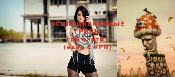 винт Армянск