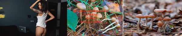винт Армянск
