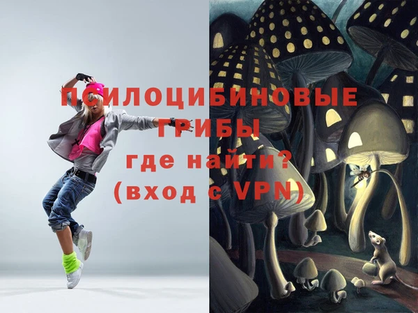 первитин Балахна