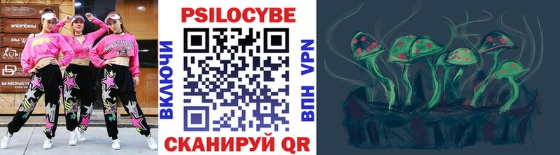 Галлюциногенные грибы MAGIC MUSHROOMS  цена наркотик  Слободской 